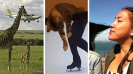Hilarious photos that prove that timing is EVERYTHING