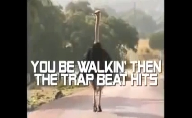Ostrich blows your mind!