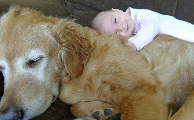 Big Dogs & Their Little Humans