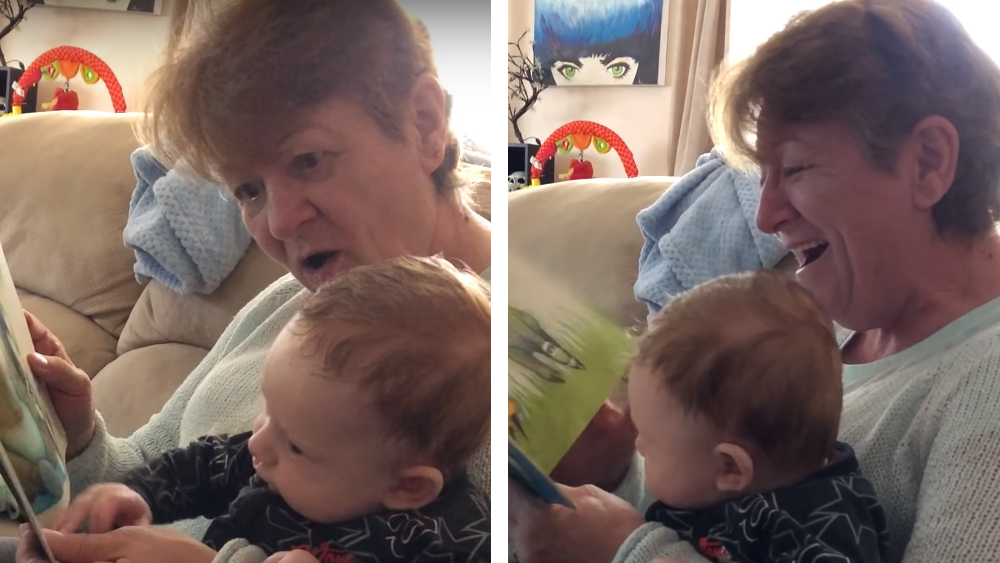 Kiwi kids book The Wonky Donkey goes viral thanks to Scottish grandma's giggles