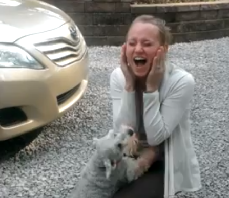 Dog Faints From Pure Joy