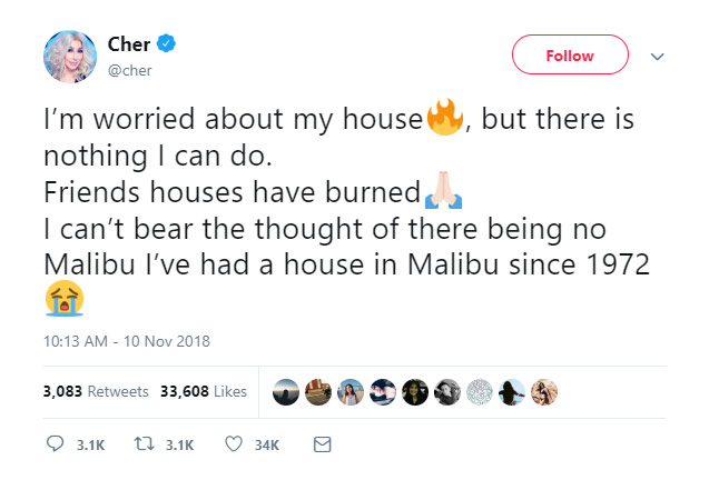 Cher. Photo / Twitter