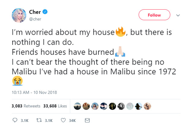 Cher. Photo / Twitter