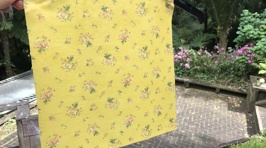 Try it Out Tuesday - Estelle makes beeswax foodwraps