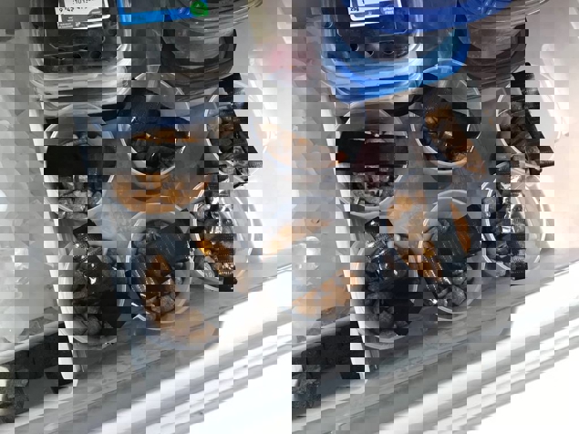 Set little pupsicles