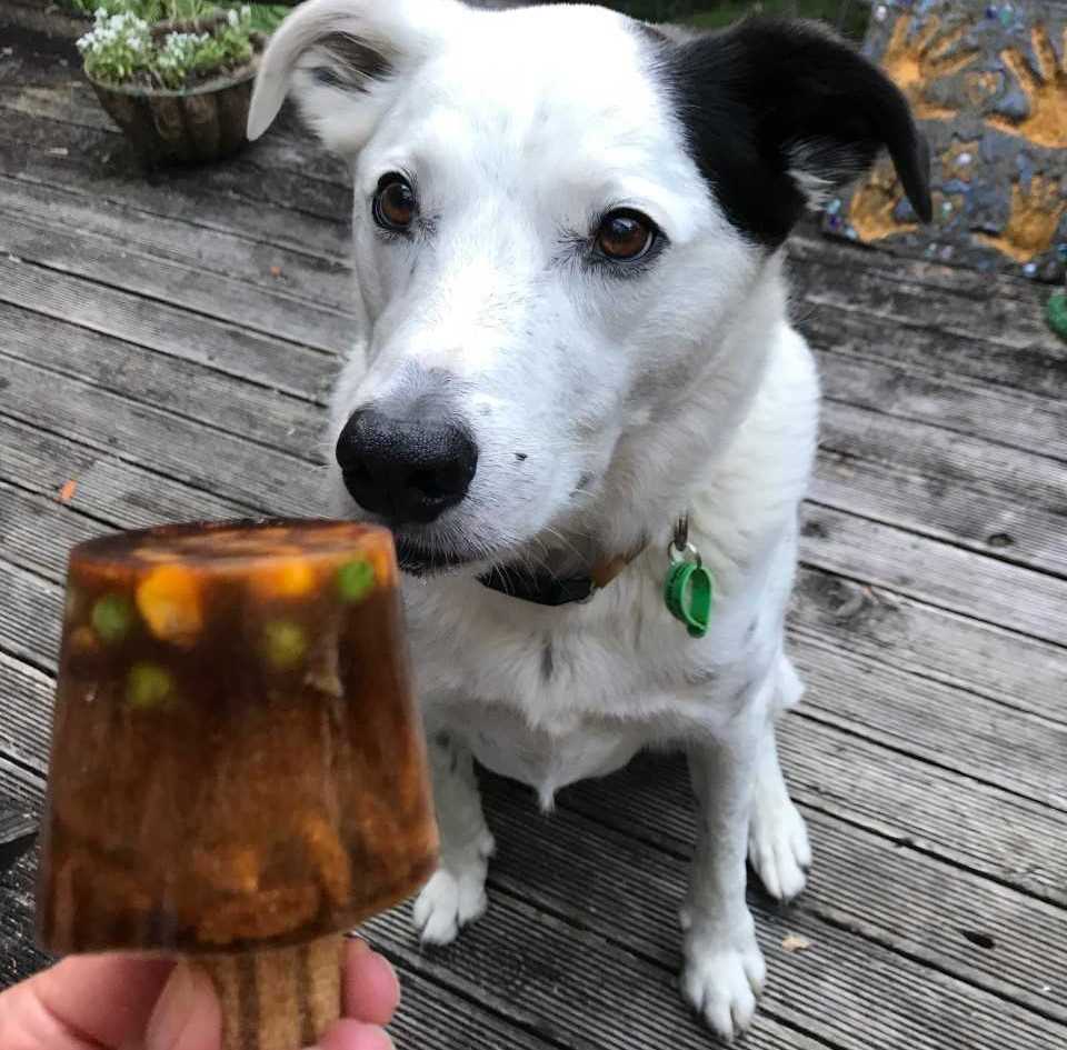 Try it Out Tuesday - Estelle and her niece Arawa make Pupsicles