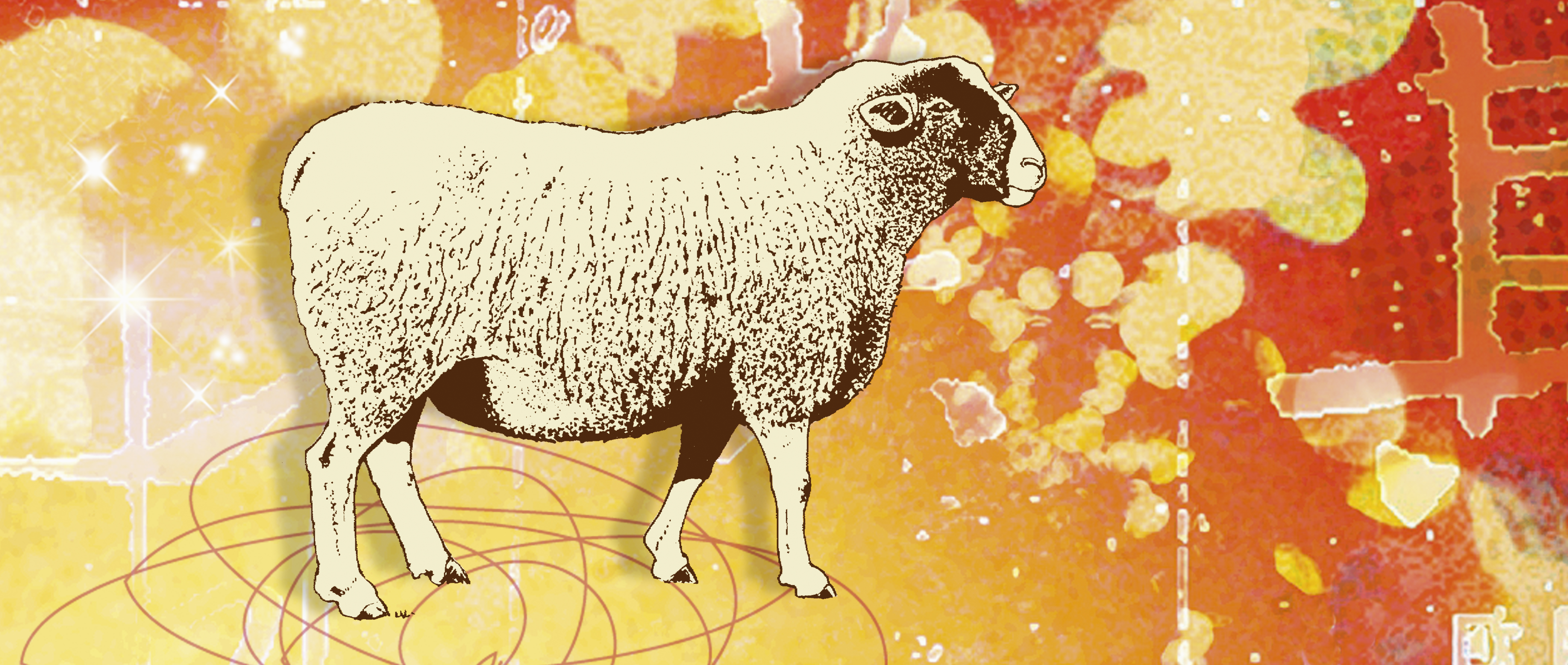 2015 года барана. Китайский знак зодиака овца. Год козы овцы. Овца знак зодиака год. Символ года овца.