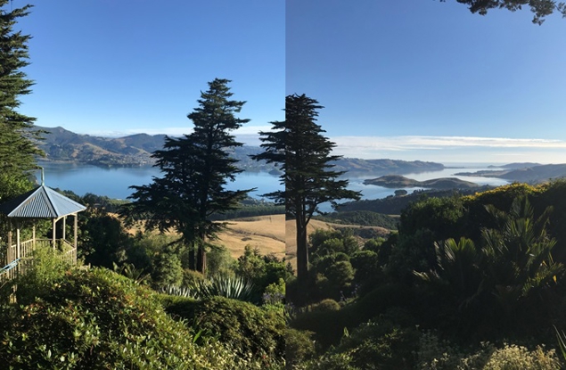 Views from the Larncach Castle grounds