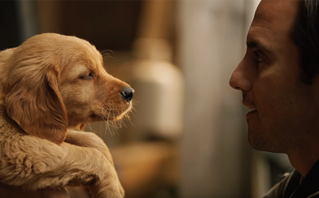 There S A New Dog Movie Be Released From The Creators Of Marley