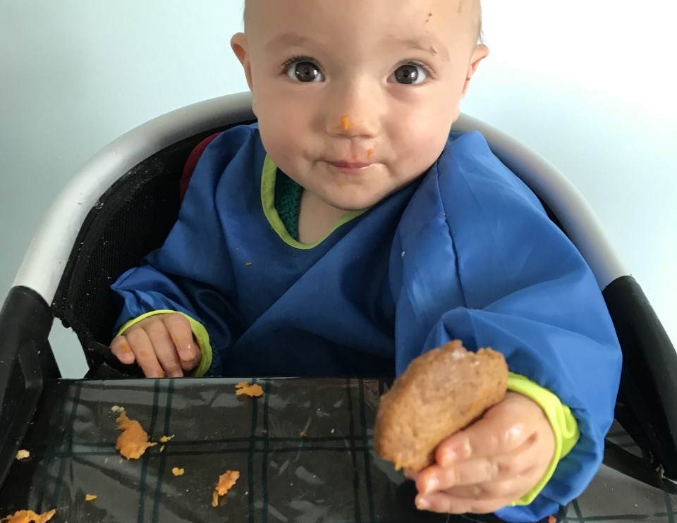 Try it Out Tuesday - Estelle tries out a raincoat bib on her baby