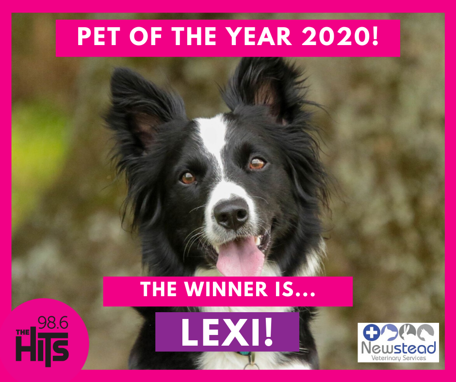 We Have Our Winner. Congratulations Lexi - Pet of the Year for 2020!