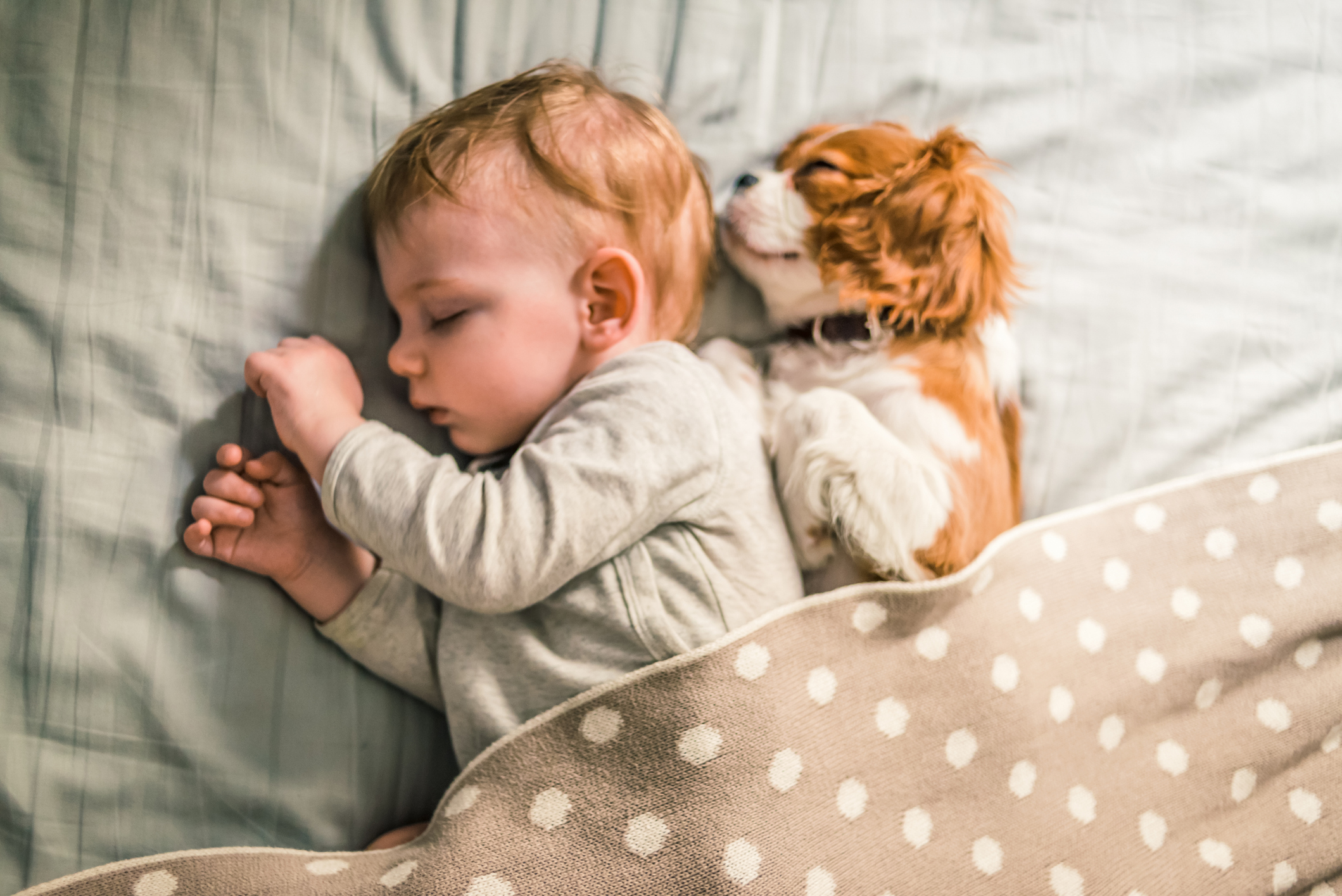 Adorable Video Of Toddler Sneaking Out Of Bed To Sleep With His Dog Goes Viral