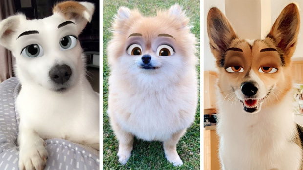 You can now transform your dog into a Disney character with this adorable Snapchat  filter