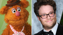 Celebrities Who Look Exactly Like Muppets