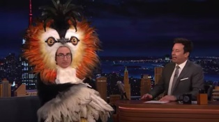 John Oliver appears on The Tonight Show Starring Jimmy Fallon dressed as a pūteketeke for the New Zealand's Bird of the Century contest. Photo / via YouTube

