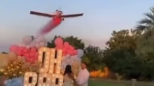 After dropping the pink powder for the gender reveal, the wing of the plane appears to fold in causing the aircraft to crash. Photo / Twitter
