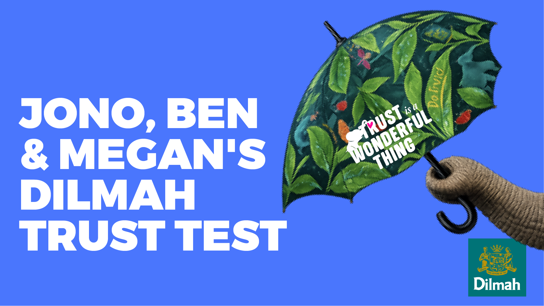 Jono, Ben & Megan’s Dilmah Trust Test 
