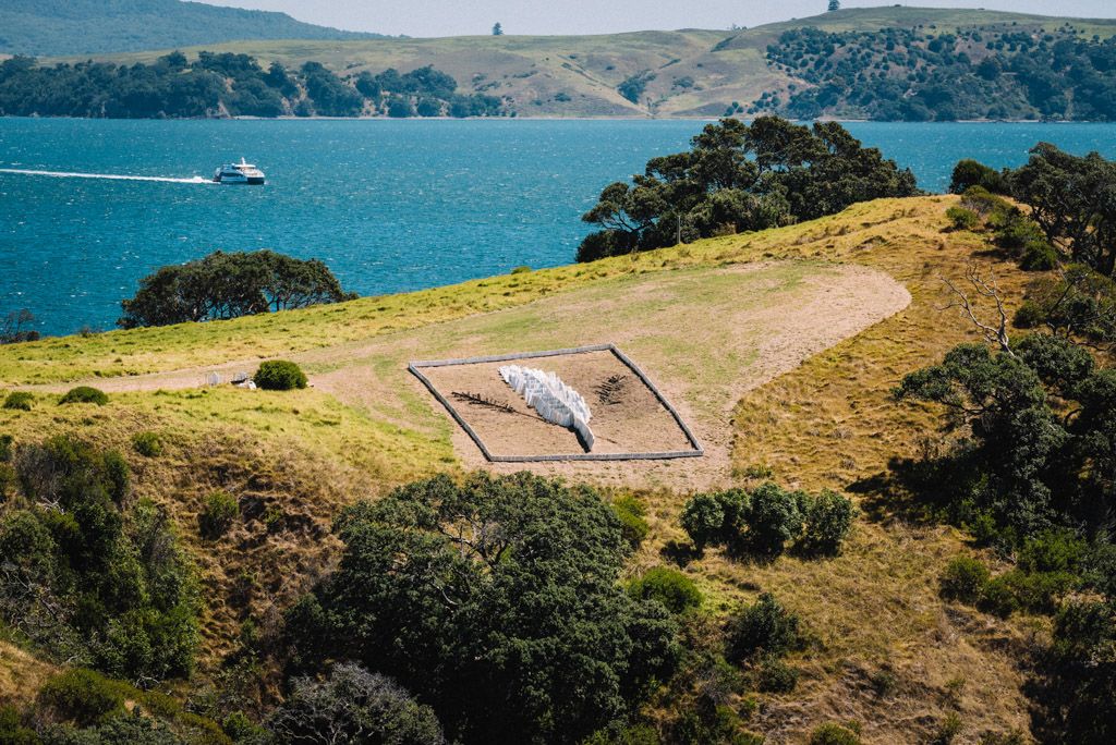  Estelle discovers the motivation and passion behind sculptor Anton Forde's mahi