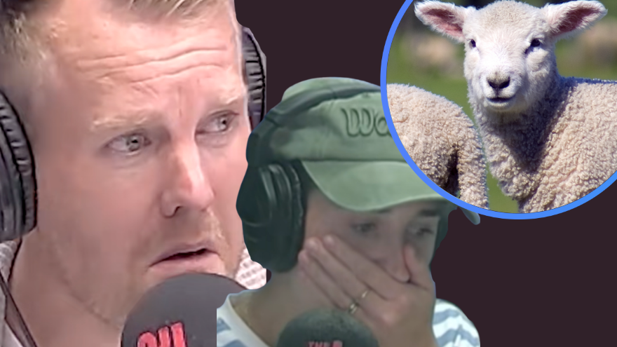 Matty and PJ react to an unbelievable pet story