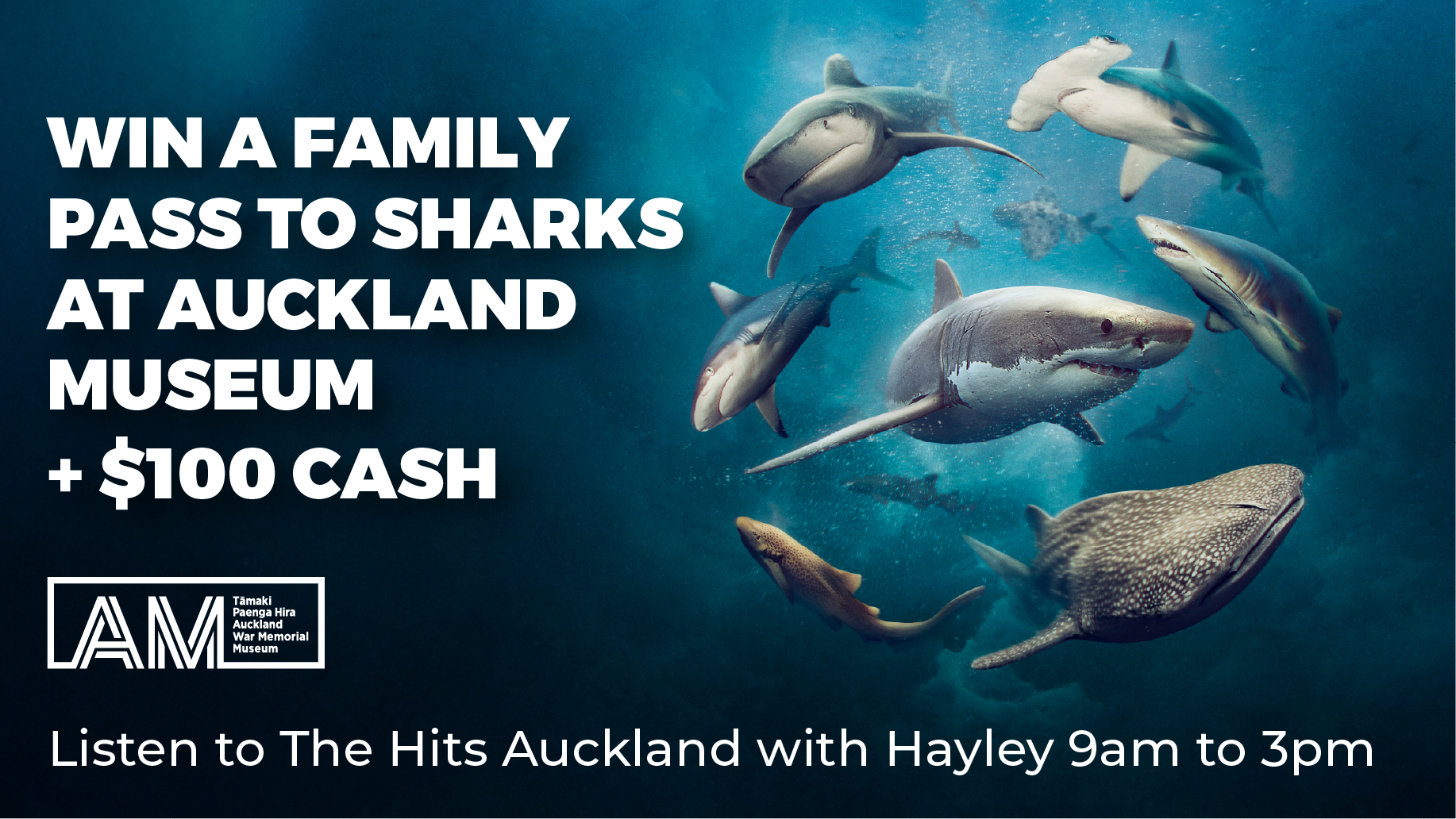 WIN a family pass to Sharks at Auckland Museum