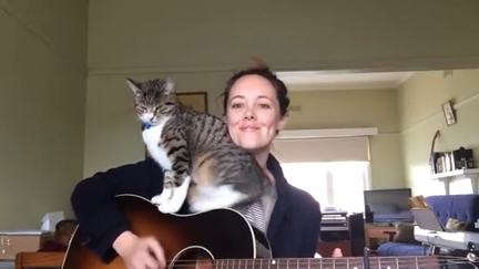 Cool Cat