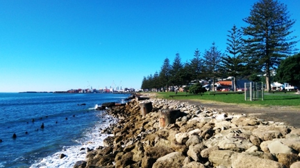 Napier voted the Bay's best