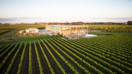 Hawke's Bay named one of the world's best wine regions