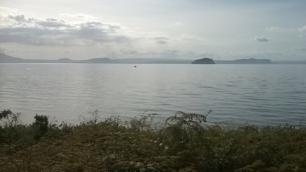 Suspected Swimmers Itch from Lake Taupo