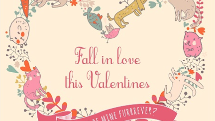Fall In Love This Valentines