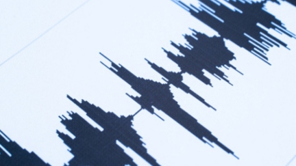 Earthquake felt in Tauranga