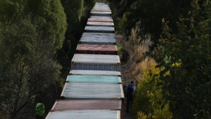Man Killed By Train In Tauranga