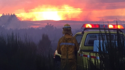 NEWS: Taupo Fire Permits On Hold