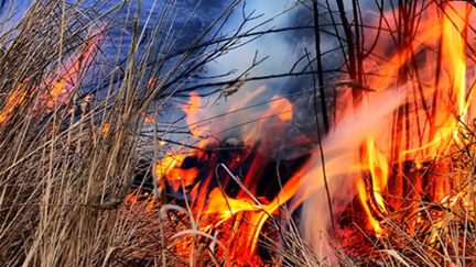 NEWS: Taupo Fires Prompt Warnings