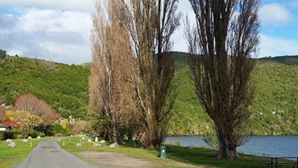 NEWS: Kinloch Feedback Needed