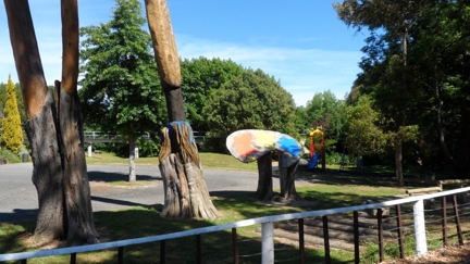 Fire At Keirunga Gardens