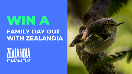 Explore your backyard with Zealandia