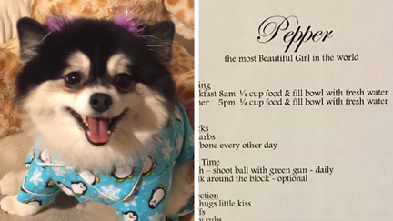 Woman leaves ridiculously funny list for dog sitter