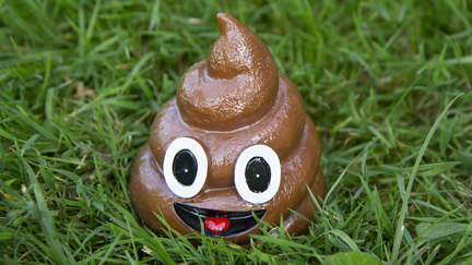 Here is the guide to 'the perfect poo'