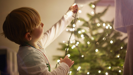 Is it too early to put up your Christmas tree?