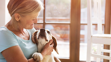 How getting a dog may save your life