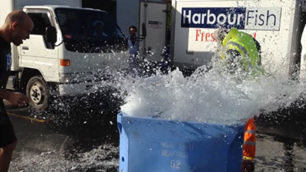 Dunedin Does The Ice Challenge