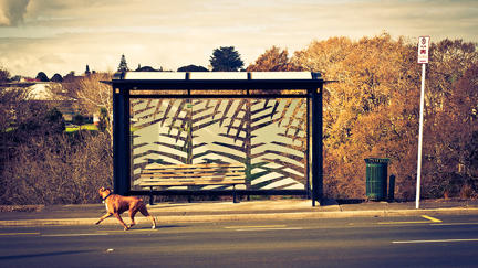 Mystery 'pooper' targets Waikato bus stop