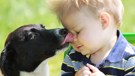 These fascinating graphics show how old your pet is in dog years and cat years