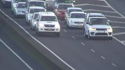 Auckland's Northern Motorway comes to a halt to allow family of ducks to cross the busy road