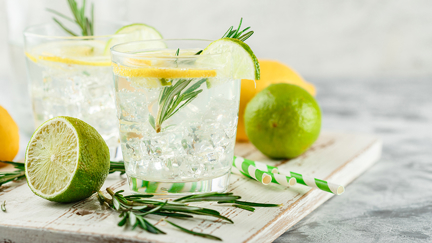 PSA: Gin and vodka could save you from hayfever this summer!