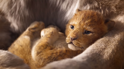 Disney just dropped the first trailer for The Lion King remake and we can't believe our eyes