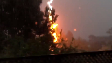 Watch the terrifying moment a lightning strike hits just metres away from Kiwi woman