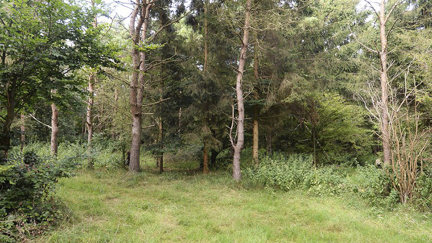 There are six soldiers hiding in this photo - can you spot them all?