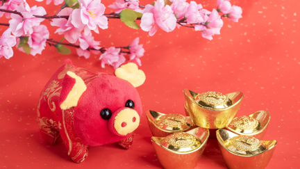 This is what the 'Year of the Pig' has in store for you ...