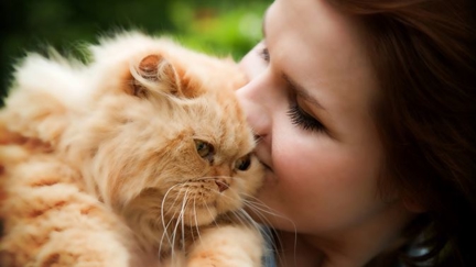 A new vaccine has been developed to stop humans having allergic reactions to cats